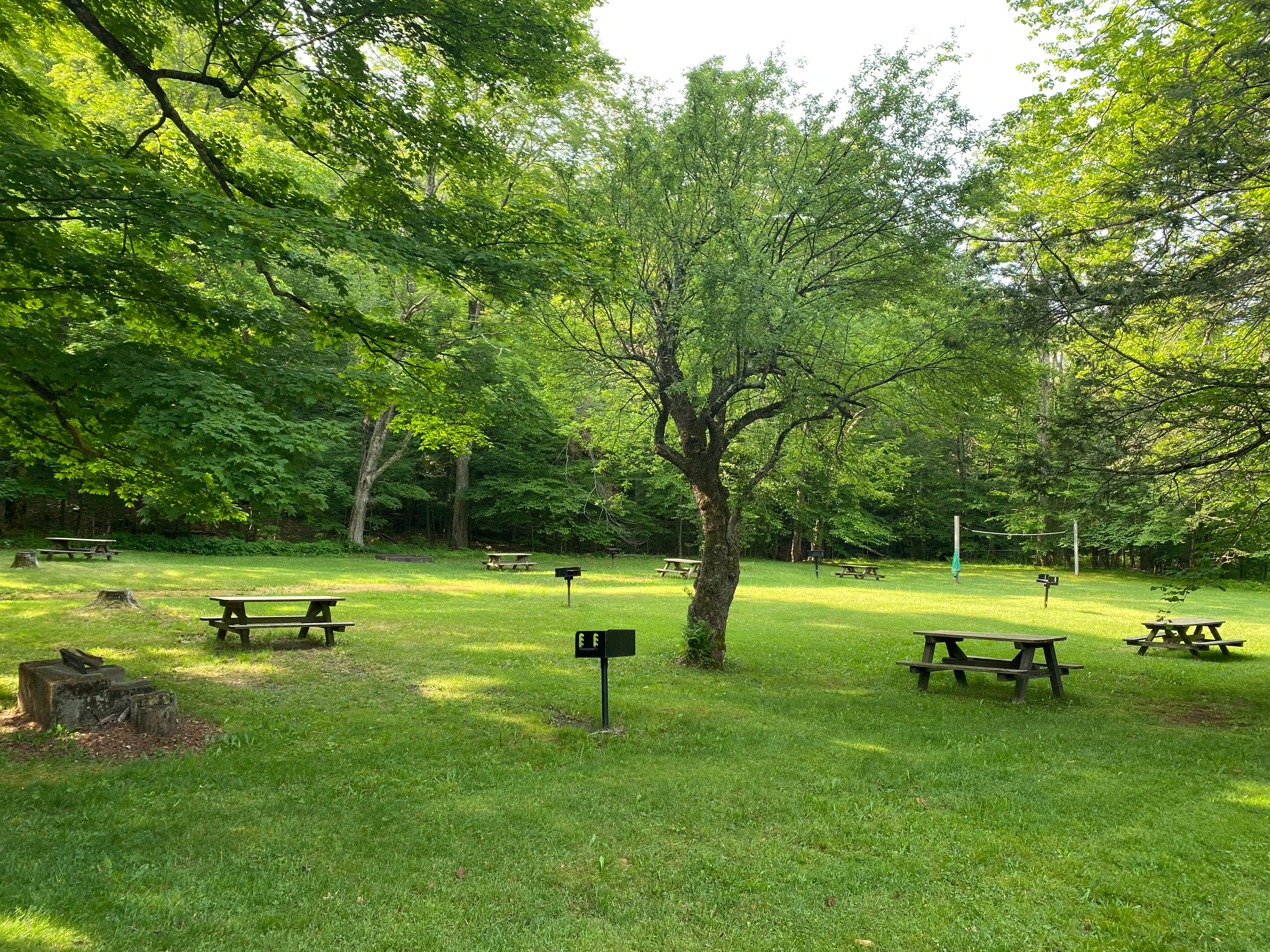 Maplecrest photo 3