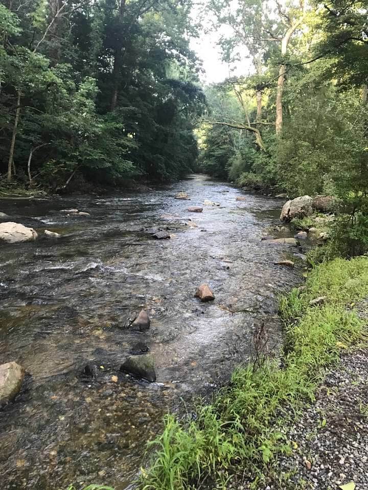 Camper submitted image from Brandywine Creek Campground - 2