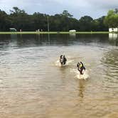Review photo of Campground at James Island County Park by Joel R., October 16, 2018