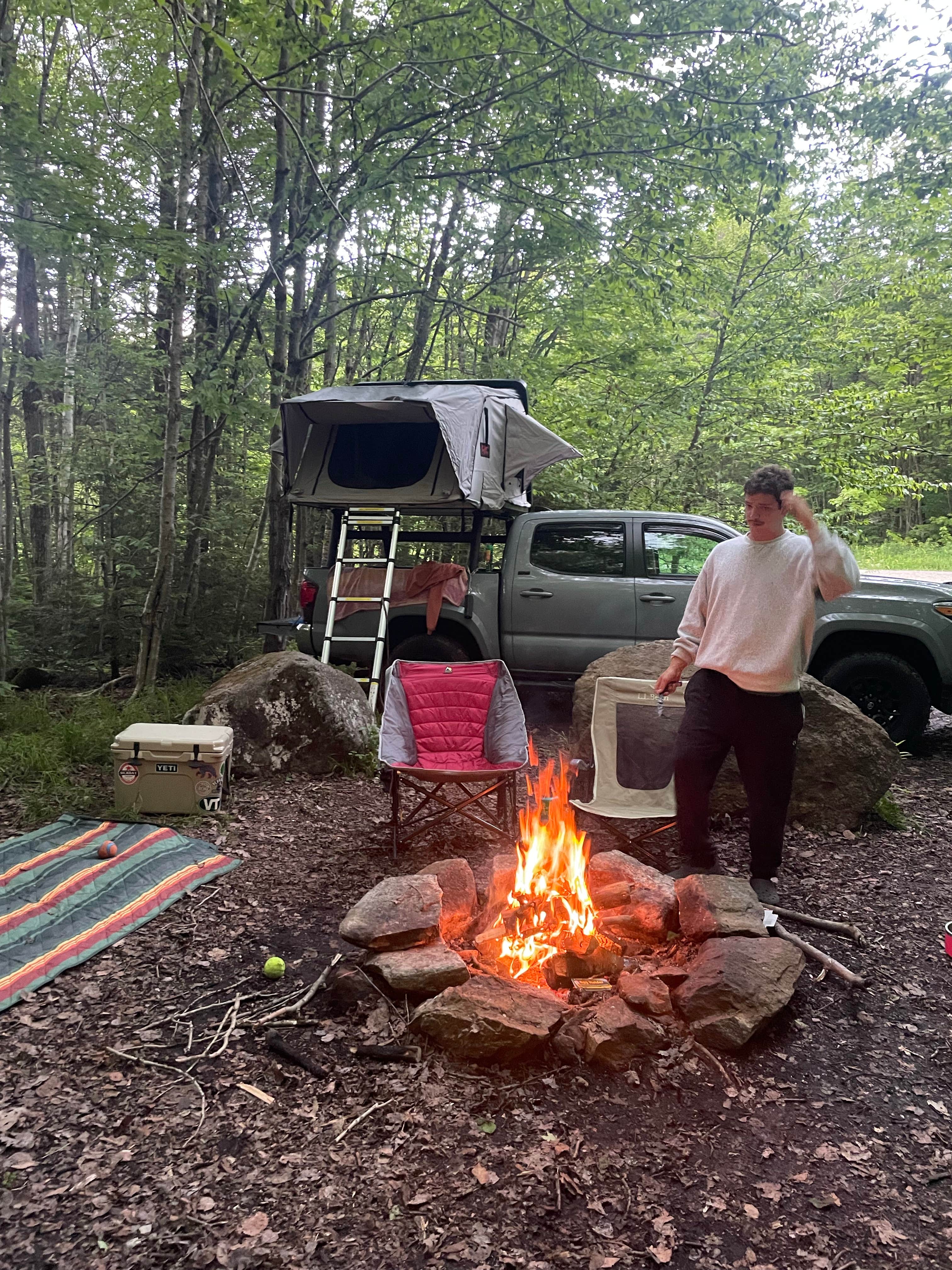 c H.'s photo of a dispersed camping area at George D Aiken Wilderness Dispersed near Whately, MA