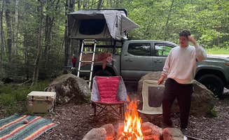 c H.'s photo of a dispersed camping area at George D Aiken Wilderness Dispersed near Greenfield, MA
