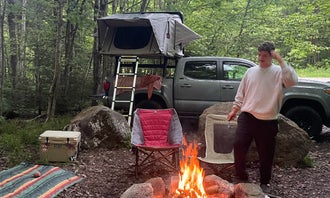 Camping near Seth Warner Shelter: George D Aiken Wilderness Dispersed, Wilmington, Vermont