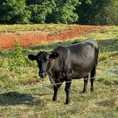 Review photo of Rocky Meadows Farm by ben O., June 13, 2023