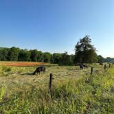 Review photo of Rocky Meadows Farm by ben O., June 13, 2023