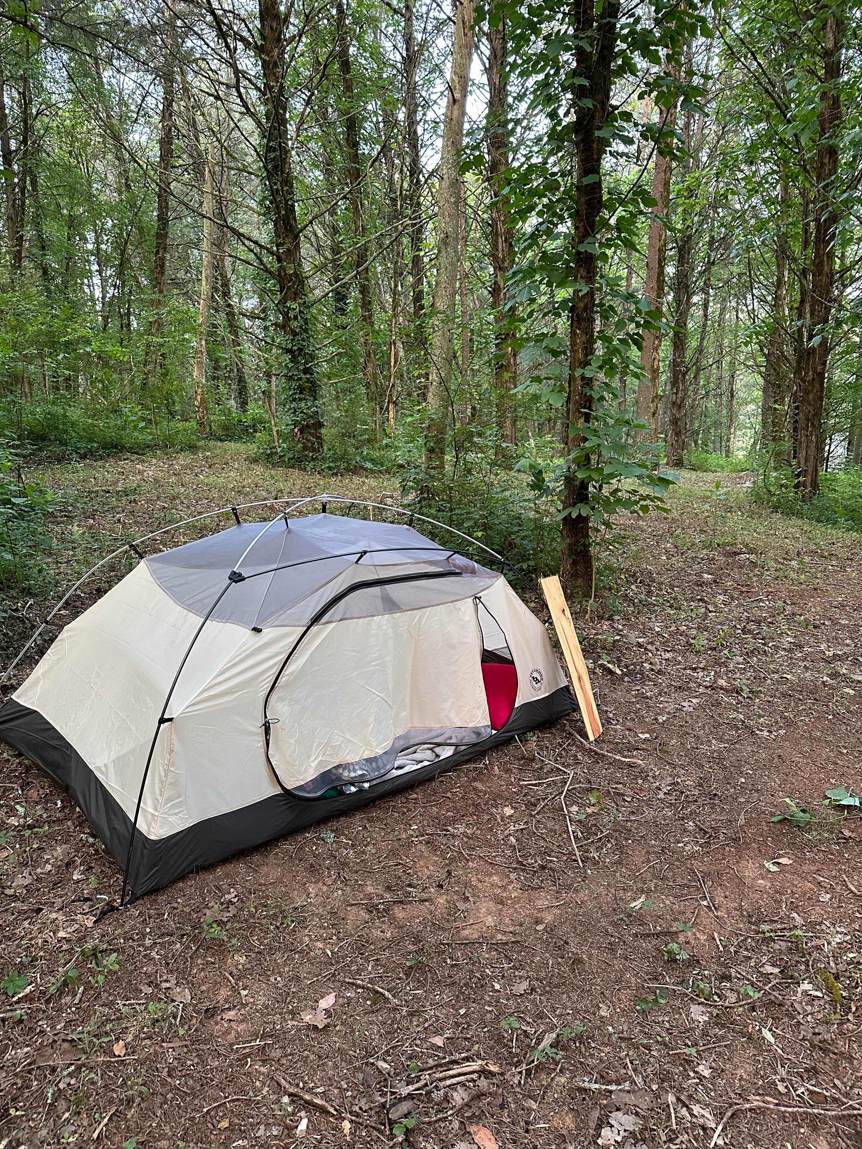 ben O.'s photo at Rocky Meadows Farm near Corryton, TN