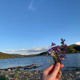 Review photo of Twin Coves — Rockport State Park by Gracie W., June 13, 2023