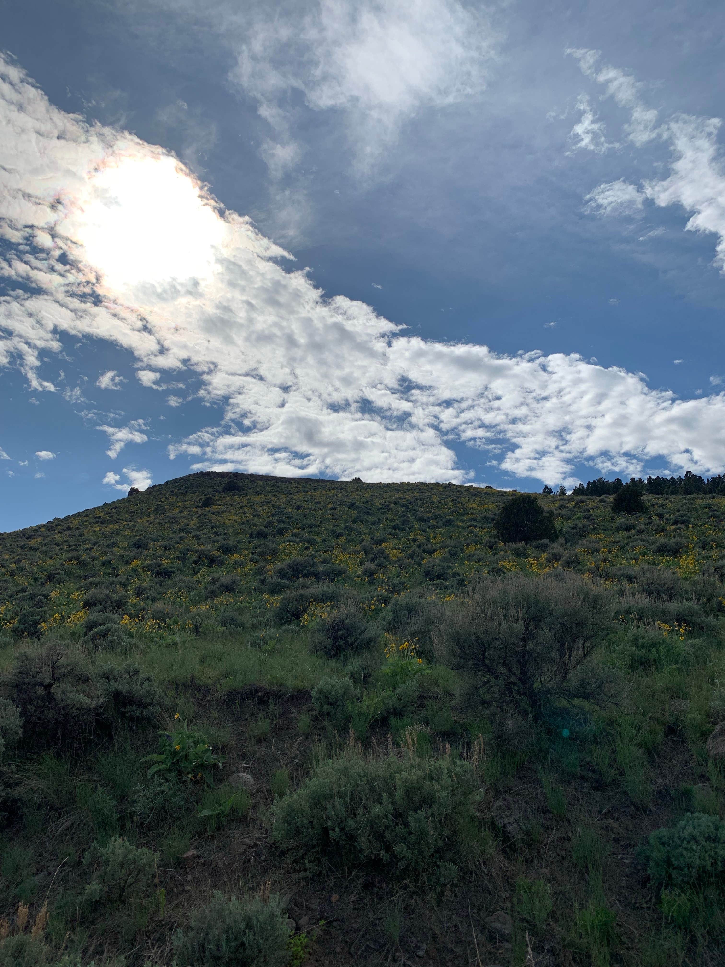 Joel's photo of a dispersed camping area at Custer-Gallatin National Forest Dispersed Camping near Livingston, MT