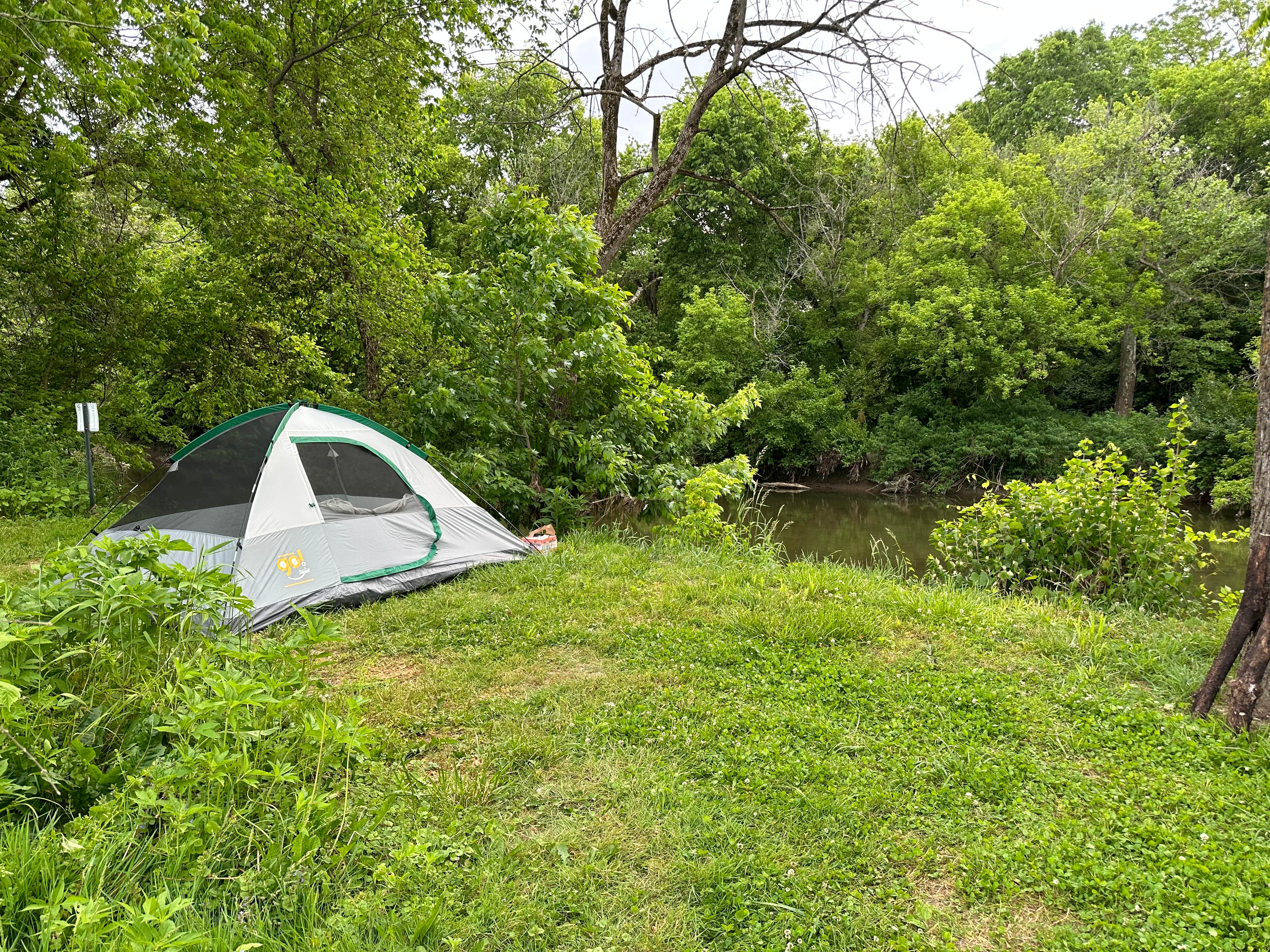 Camper submitted image from Constitution County Park - 1