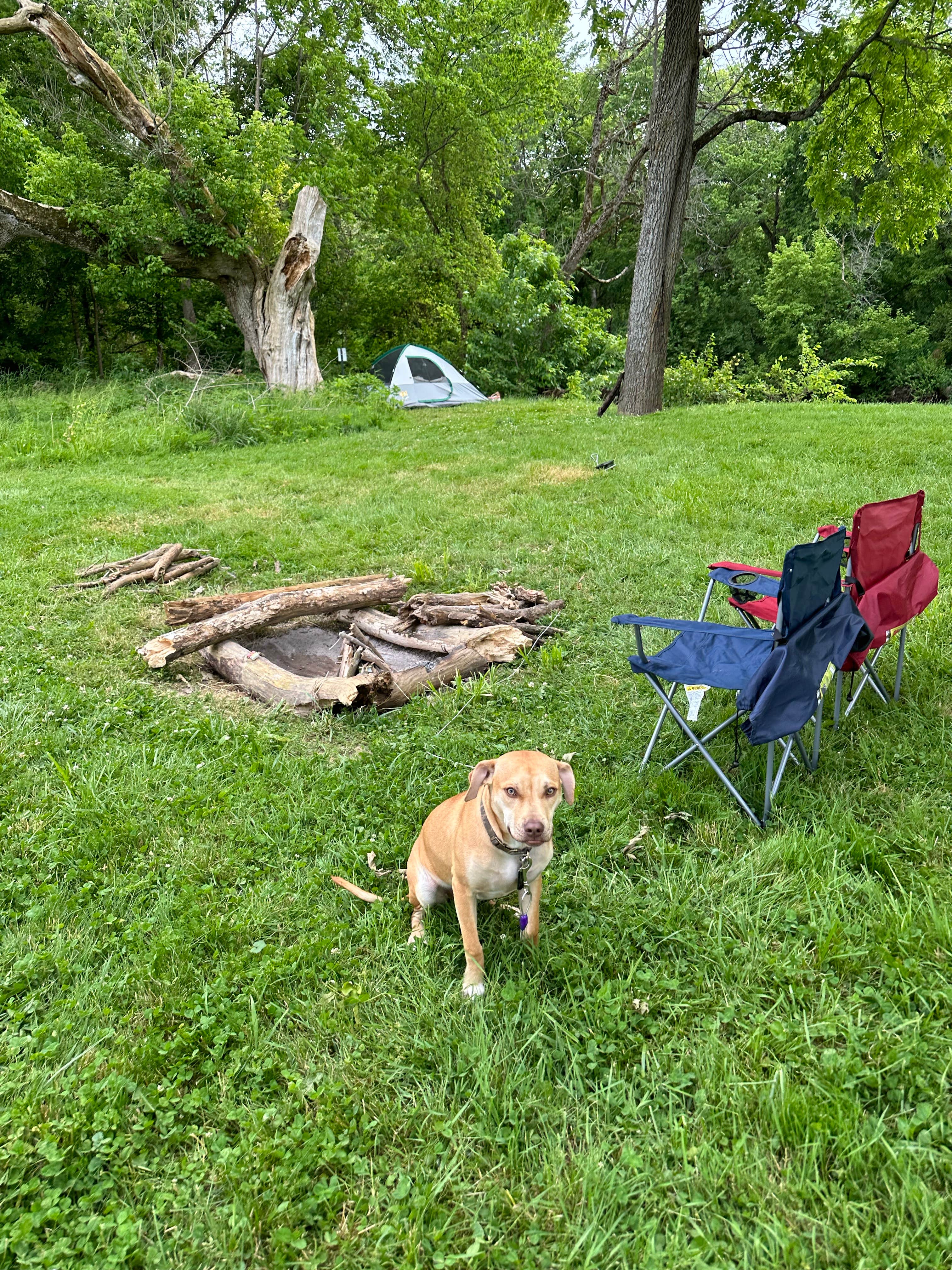 Camper-submitted photo at Constitution County Park near Blue Ash, OH