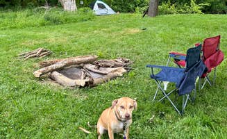 Amy W.'s photo of camping with pets at Constitution County Park near Yellow Springs, OH