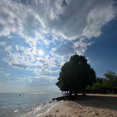 Review photo of Fontainebleau State Park Campground by Casey L., June 13, 2023