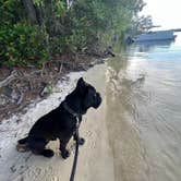 Review photo of Fred Gannon Rocky Bayou State Park Campground by Casey L., June 13, 2023