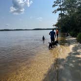 Review photo of Fred Gannon Rocky Bayou State Park Campground by Casey L., June 13, 2023