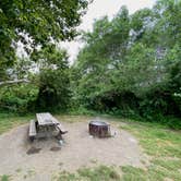 Review photo of San Simeon Creek Campground — Hearst San Simeon State Park by David B., June 13, 2023