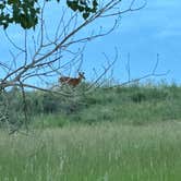 Review photo of Cherry Creek State Park Campground by Pam & Steve S., June 13, 2023