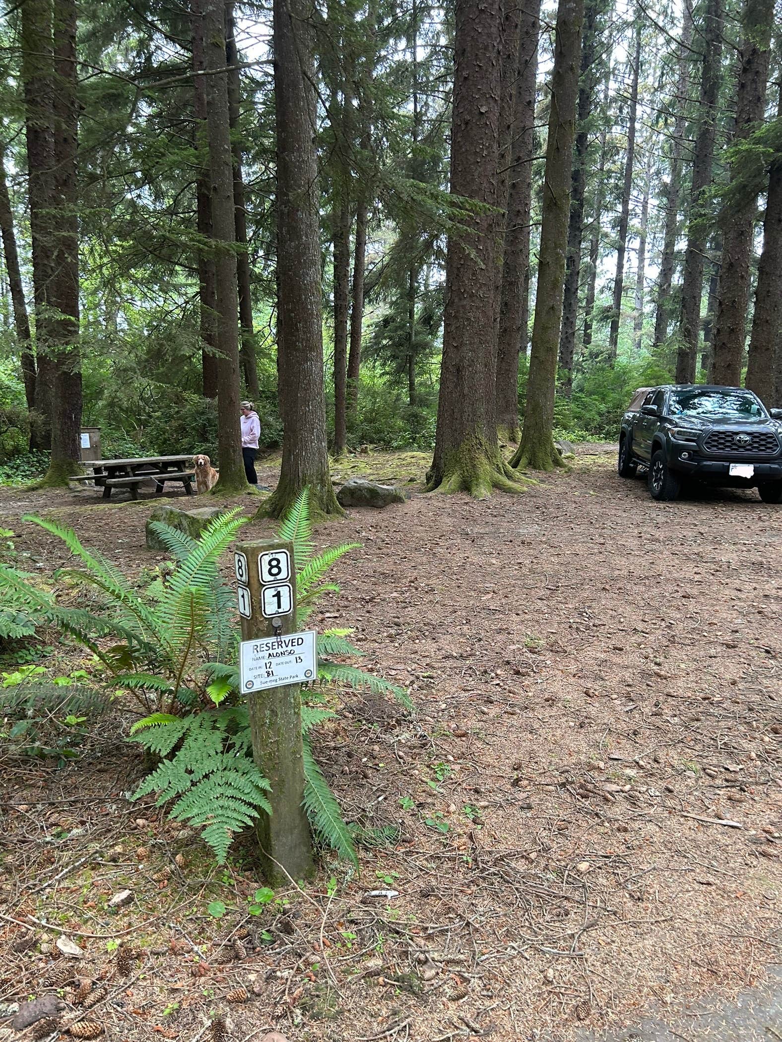 katrina A.'s photo of camping with pets at Abalone Campground — Sue-meg State Park near McKinleyville, CA
