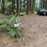 Review photo of Abalone Campground — Sue-meg State Park by katrina A., June 13, 2023