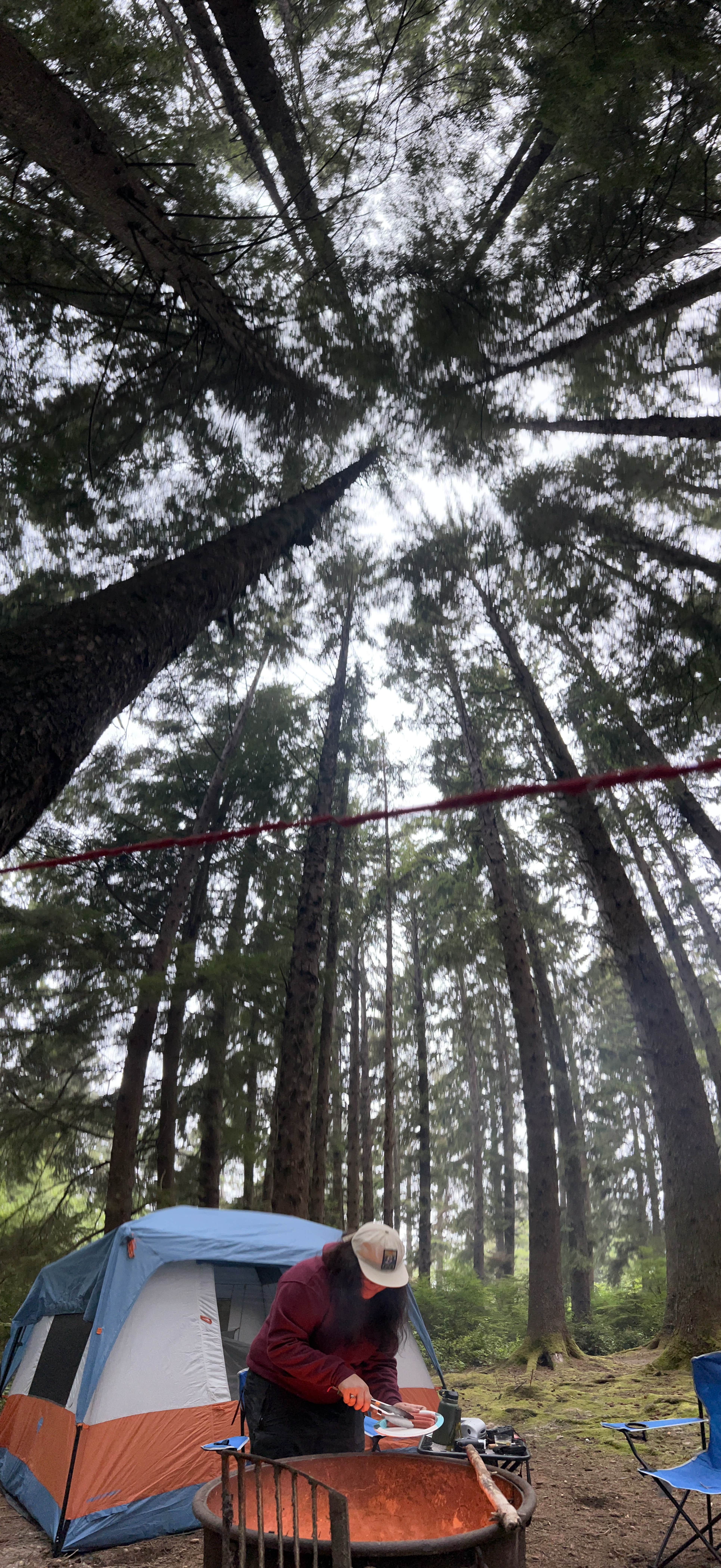 katrina A.'s photo at Abalone Campground — Sue-meg State Park near Blue Lake, CA