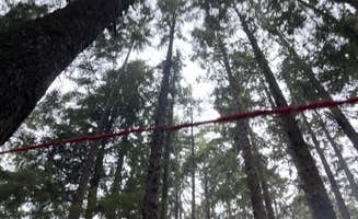 katrina A.'s photo at Abalone Campground — Sue-meg State Park near Essex, CA