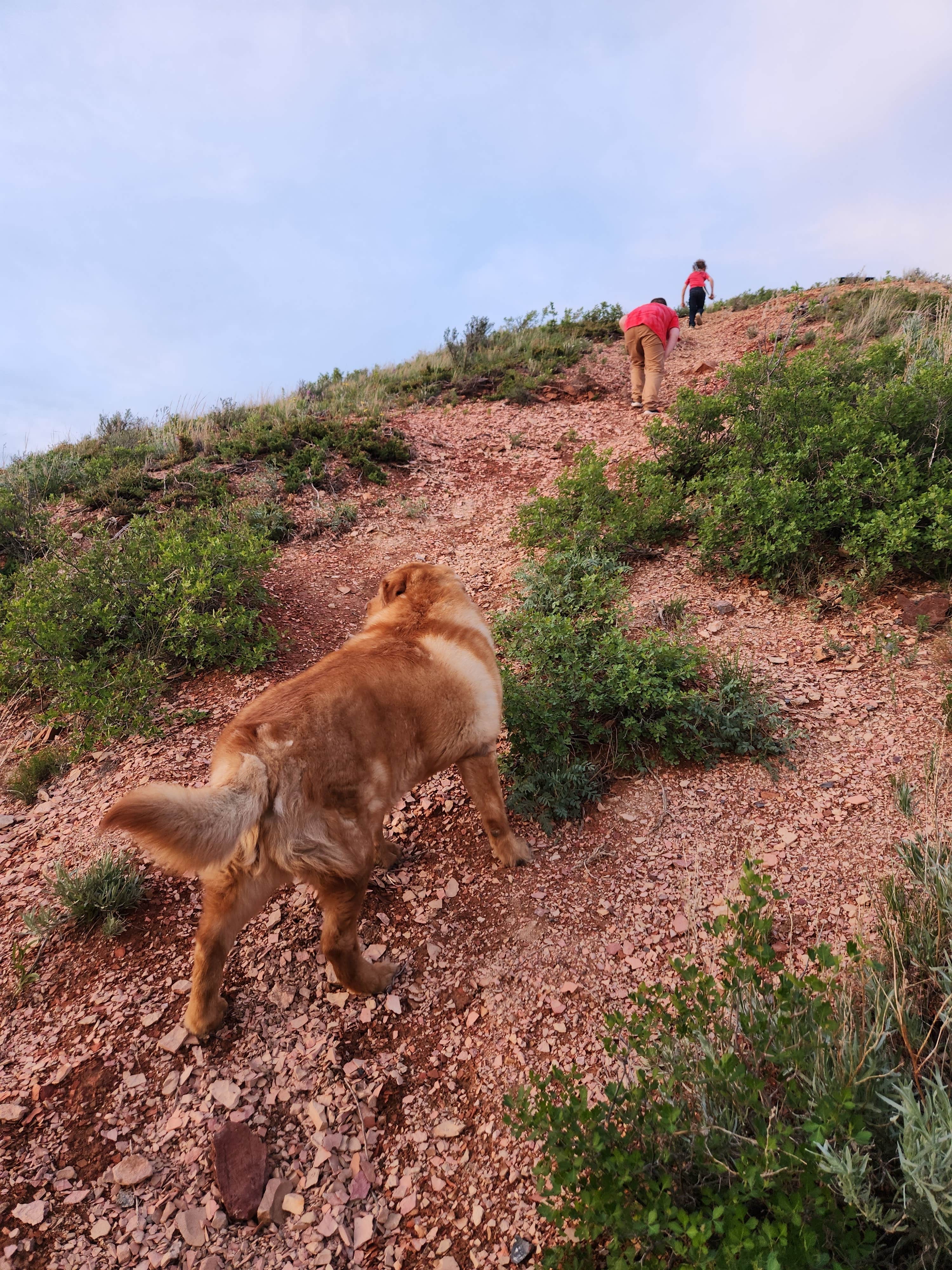 Katie J.'s photo of camping with pets at Buffalo Gap Campground (ND) near Fairfield, ND