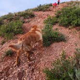 Review photo of Buffalo Gap Campground (ND) by Katie J., June 13, 2023