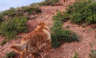 Katie J.'s photo of camping with pets at Buffalo Gap Campground (ND) near Theodore Roosevelt National Park