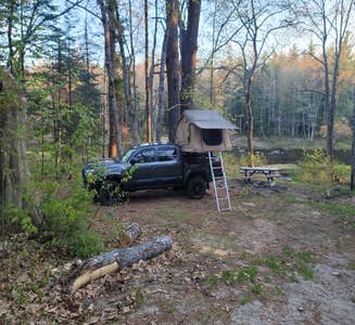 Camper-submitted photo from Machias Rips Campsite