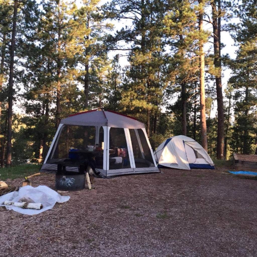 Camper submitted image from Bismarck Lake Campground - 3