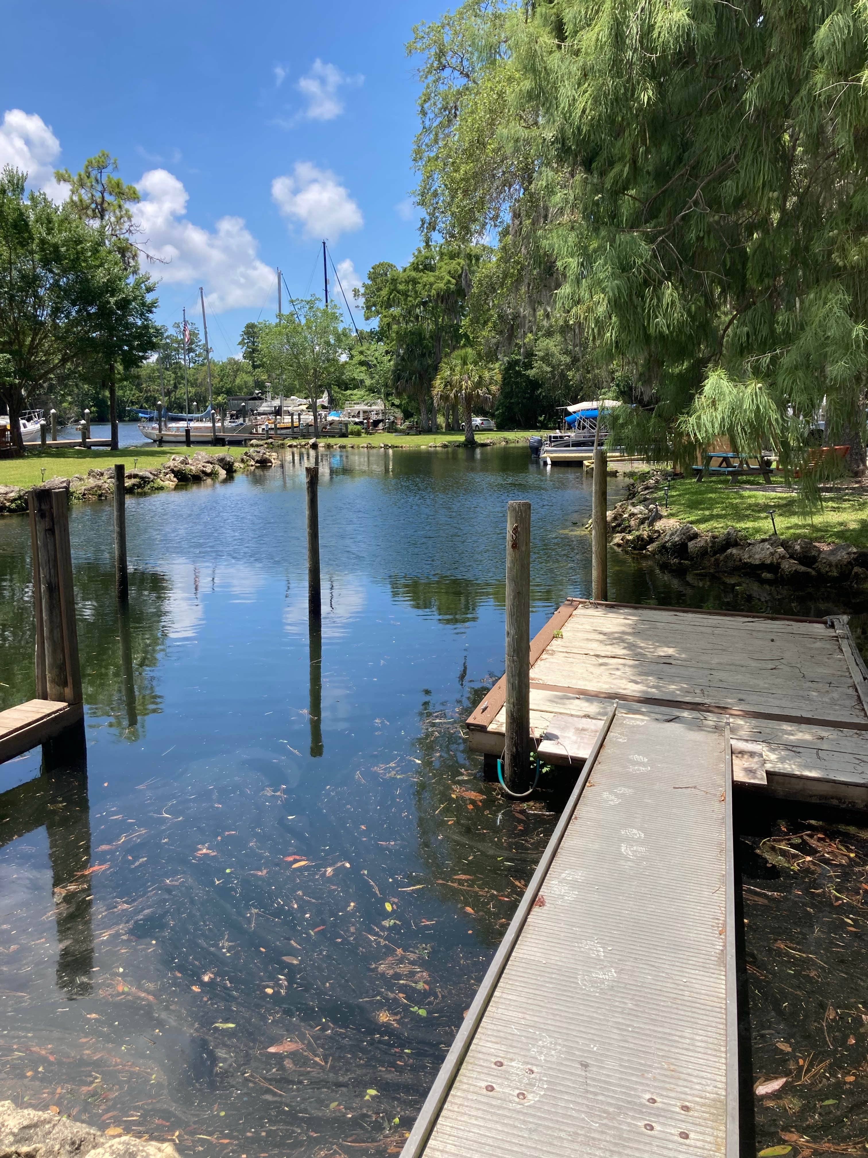 B's Marina & Campground | Yankeetown, FL