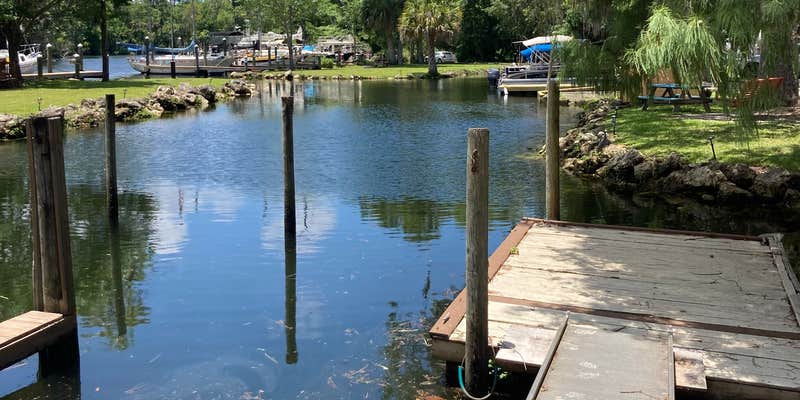 Camper submitted image from B's Marina & Campground