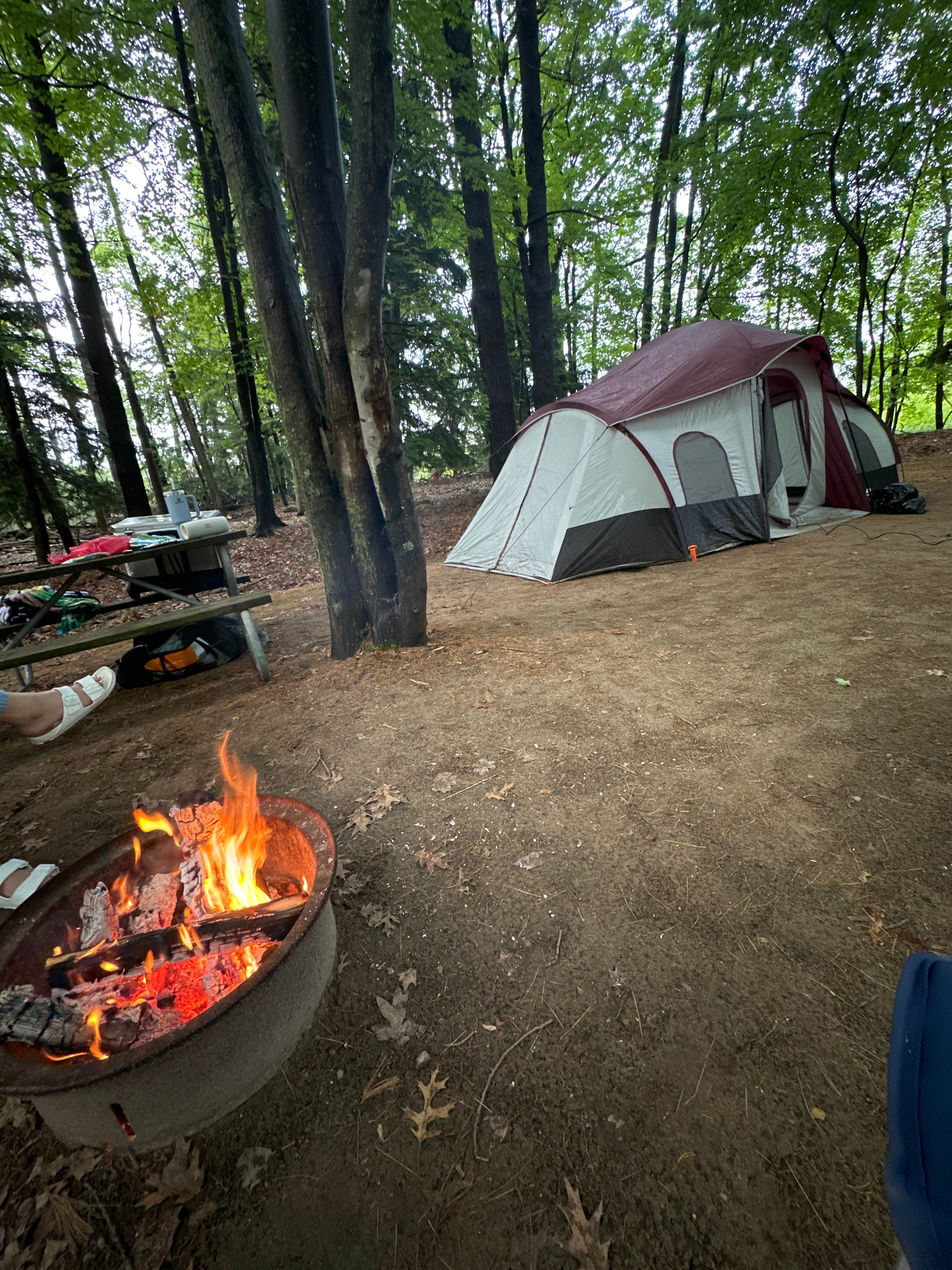 Camper submitted image from Whispering Surf Campground at Bass Lake - 3