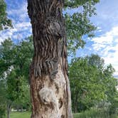 Review photo of Highline Lake State Park Campground by Jennifer D., June 14, 2023