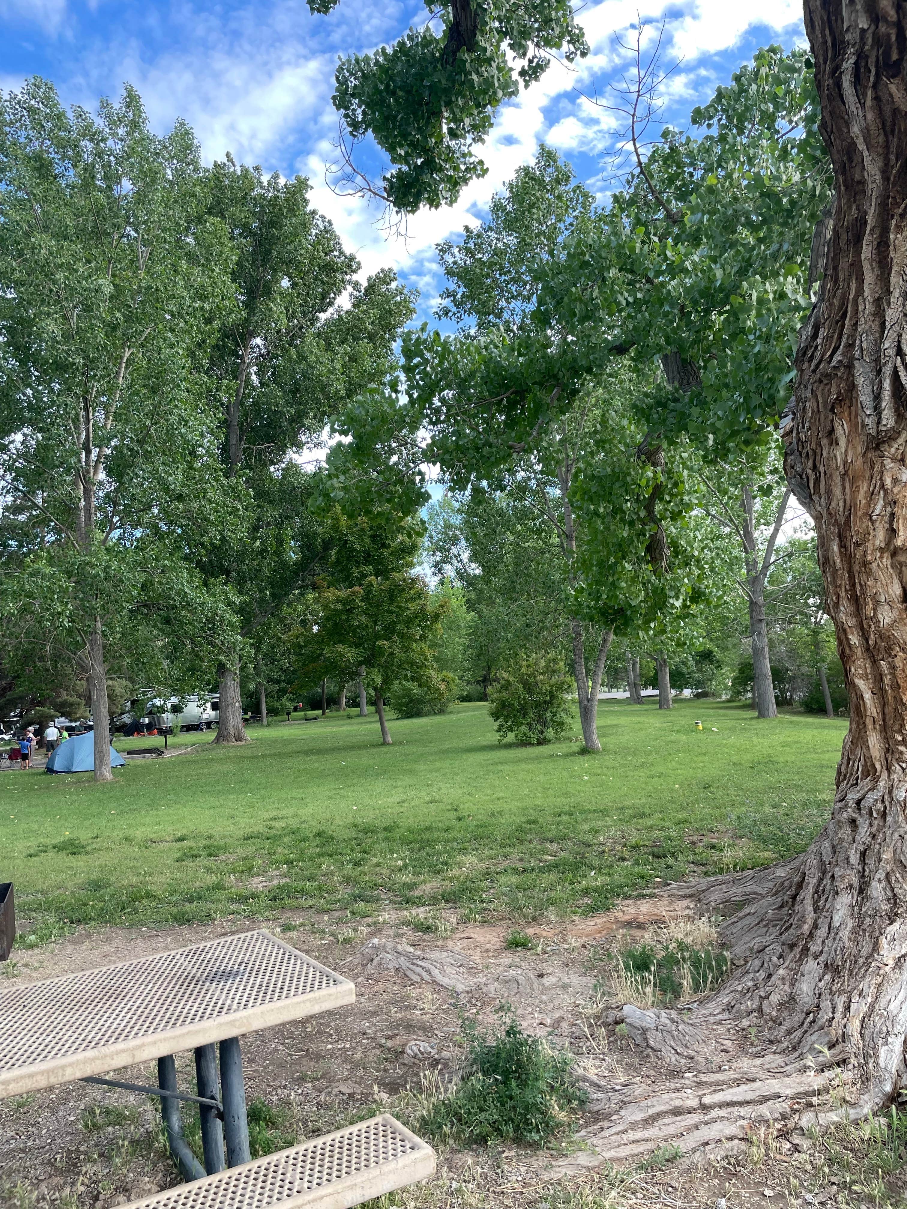 Camper-submitted photo at Bookcliff Campground — Highline Lake State Park near Fruita, CO