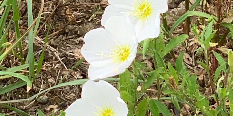 Camper submitted image from Wild 2 Wonderful Ranch