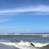 Review photo of Cape Hatteras/Outer Banks KOA Resort by Joel R., October 16, 2018