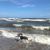 Review photo of Cape Hatteras/Outer Banks KOA Resort by Joel R., October 16, 2018