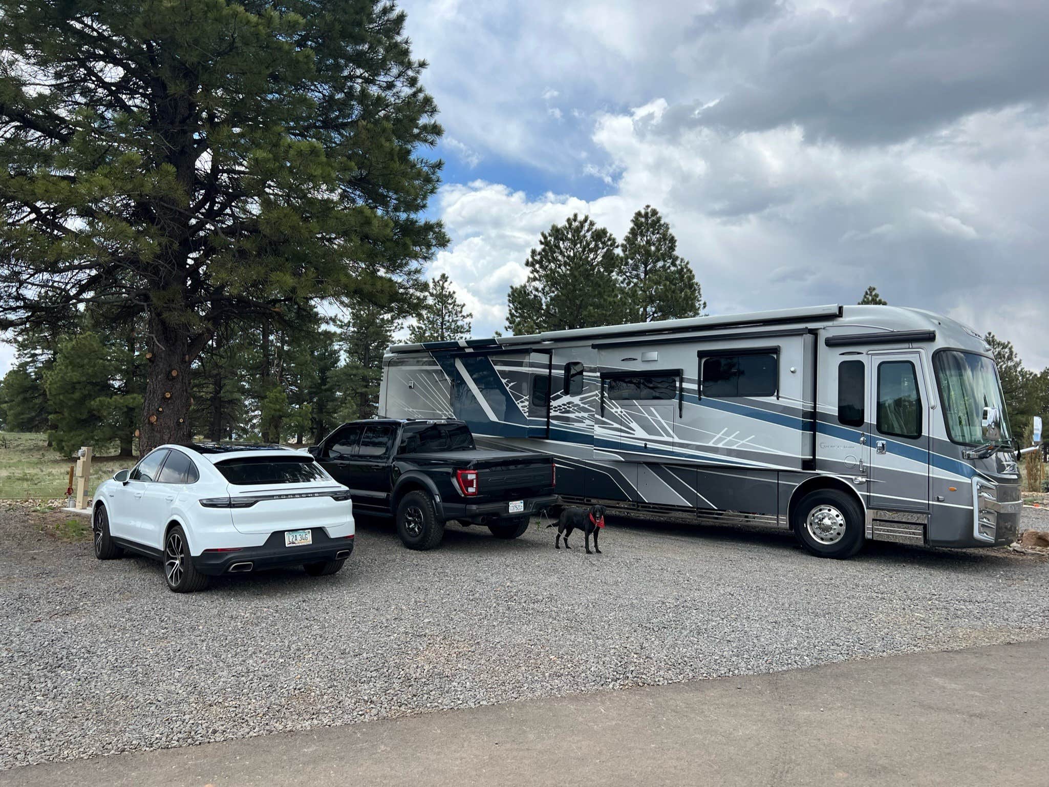 Roberts R.'s photo of camping with pets at Village Camp Flagstaff near Bellemont, AZ