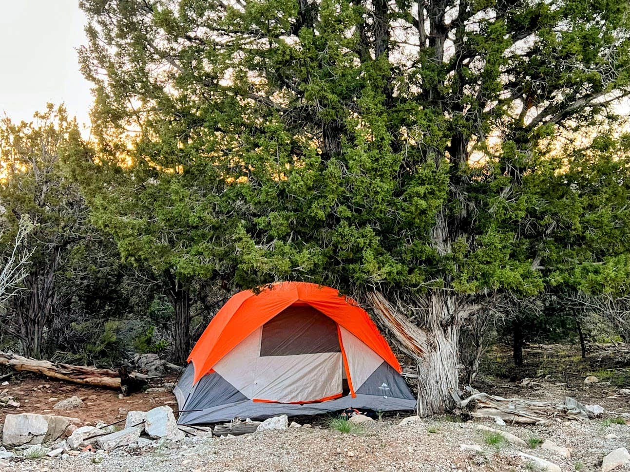 Camper-submitted photo at Mt Carmel Old 89 Dispersed Camping near Colorado City, AZ