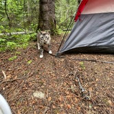 Review photo of Emerald Creek Campground by sophie P., June 14, 2023