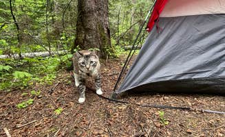 sophie P.'s photo of camping with pets at Emerald Creek Campground near Pullman, WA