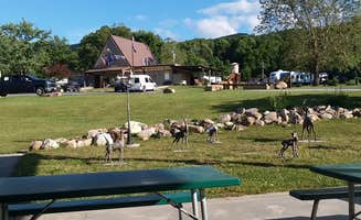 not S.'s photo of camping with pets at Wytheville KOA near Fries, VA