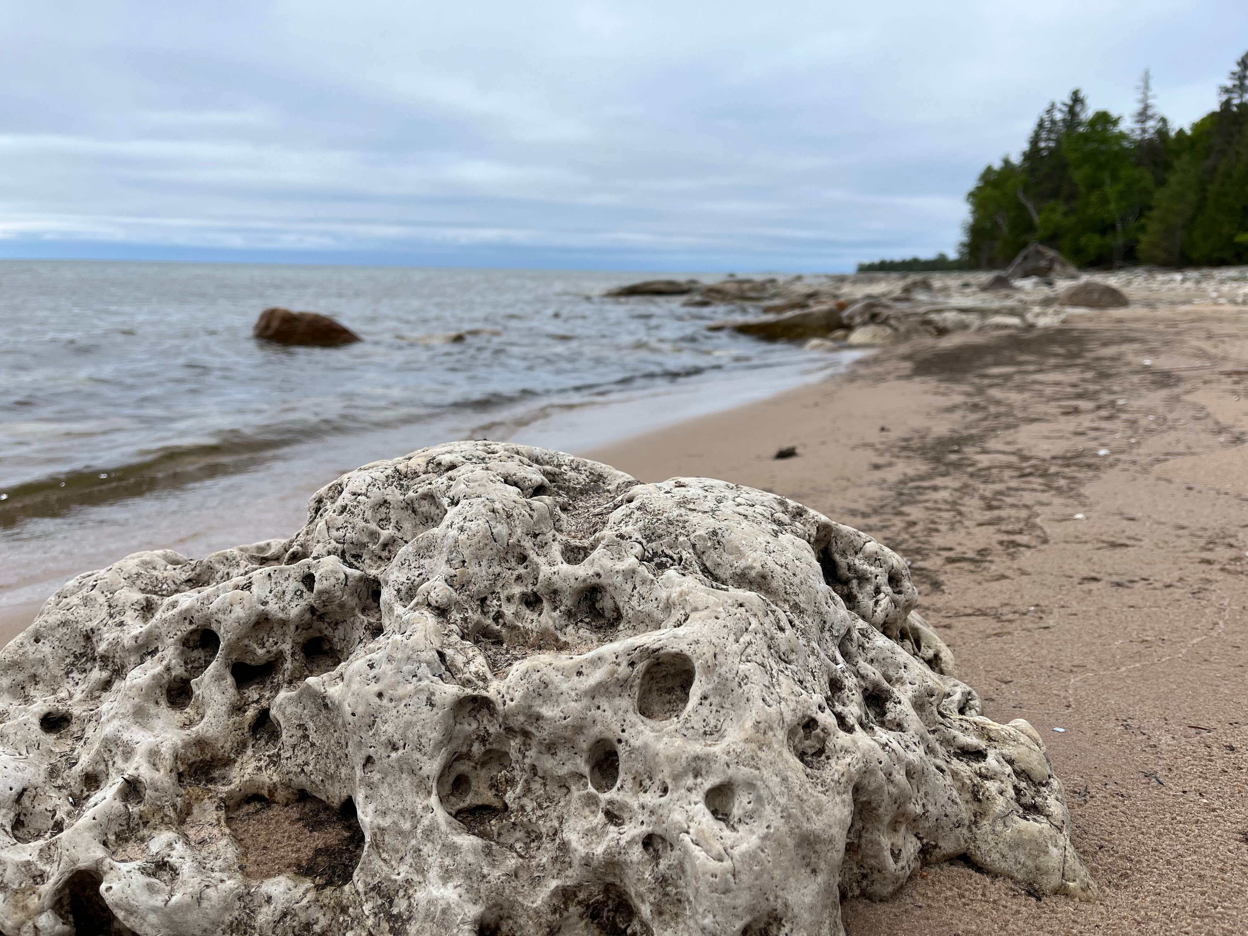 Camper-submitted photo at DeTour - Lake Superior State Forest near De Tour Village, MI