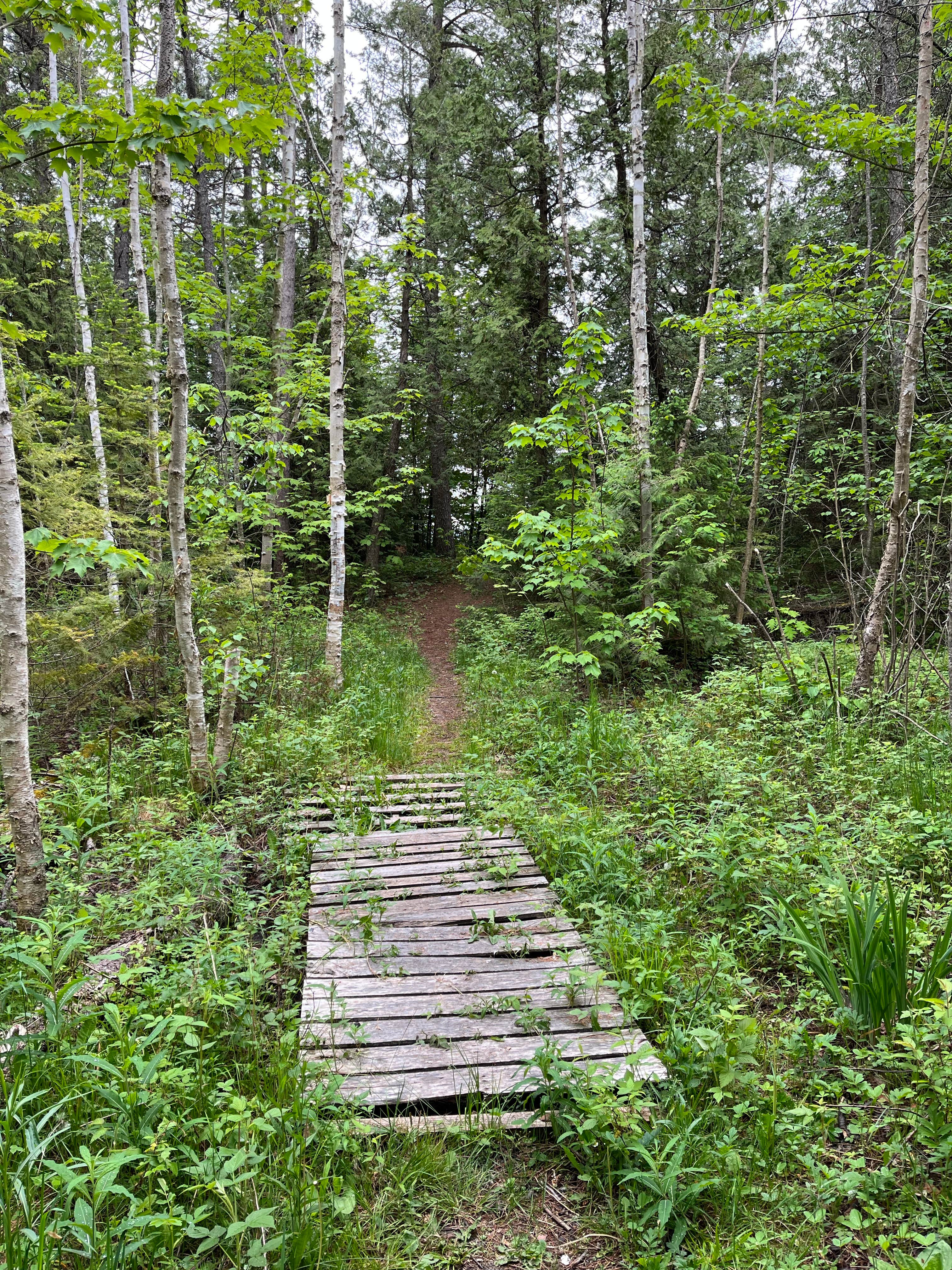 Camper-submitted photo at DeTour - Lake Superior State Forest near De Tour Village, MI