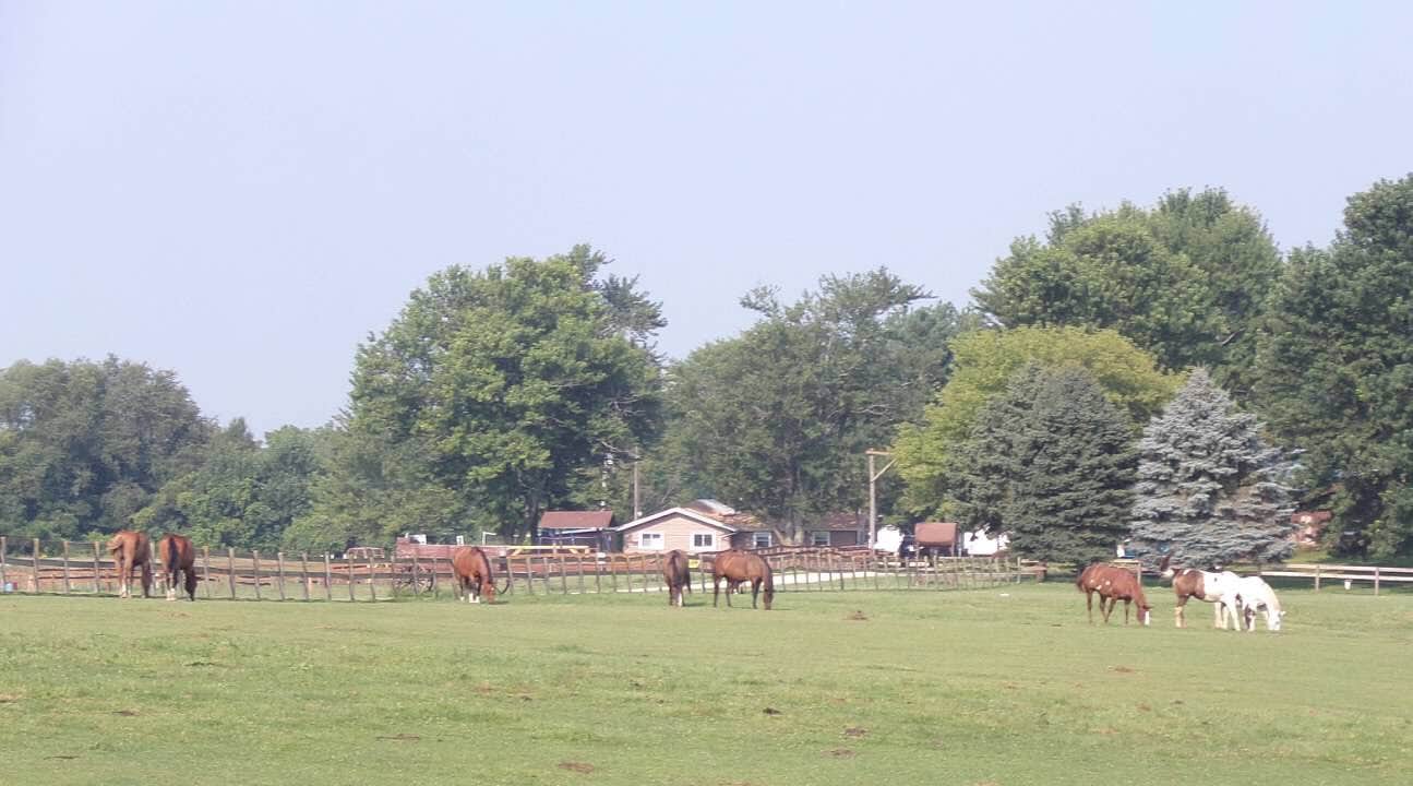 View All