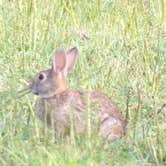 Review photo of Prairie Rose State Park by Joel R., October 16, 2018