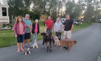 Brandon G.'s photo of camping with pets at Riverside Camping & RV Resort near St. Johnsbury, VT