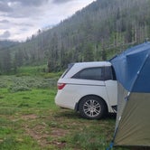 Review photo of Dispersed camping along Cliff Creek in Bridger-Teton National Forest by Anika T., June 14, 2023