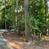 Review photo of James H 'Sloppy' Floyd State Park Campground by shirley D., June 14, 2023