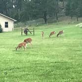 Review photo of Stockade Lake S - Custer State Park by Joel R., October 16, 2018