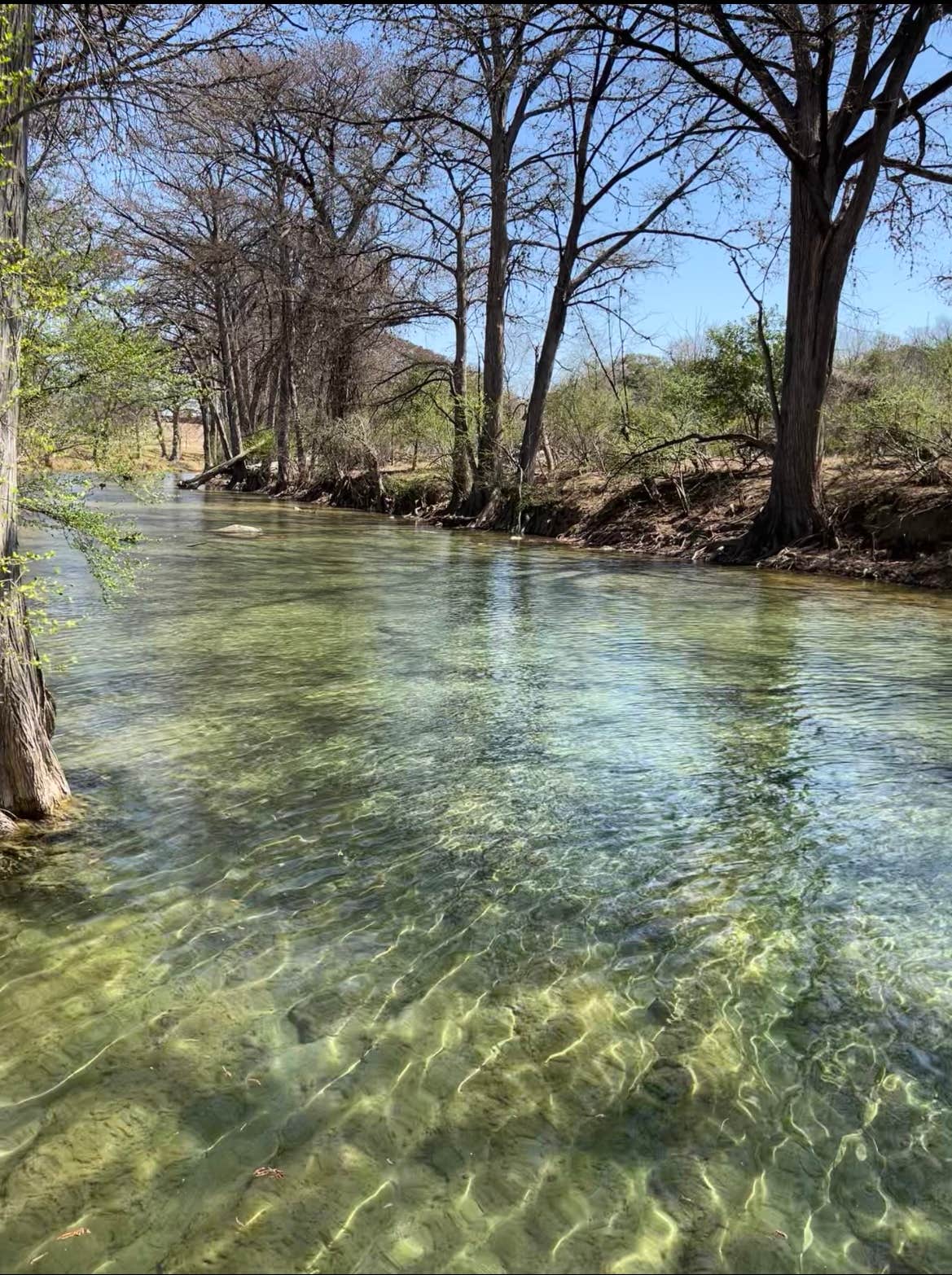 Camper-submitted photo at River Yurt Village and RV Resort near Bandera, TX